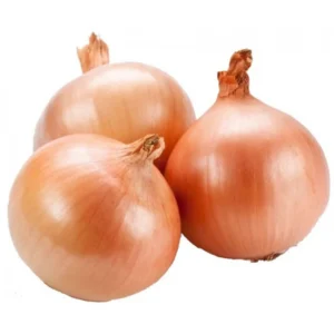 Brown Onion