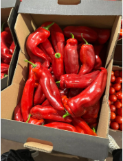 hot peppers (uganda) 4kg
