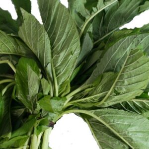 Tete Leaves