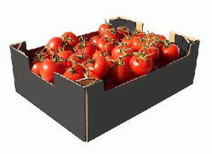 box of fresh tomatoes