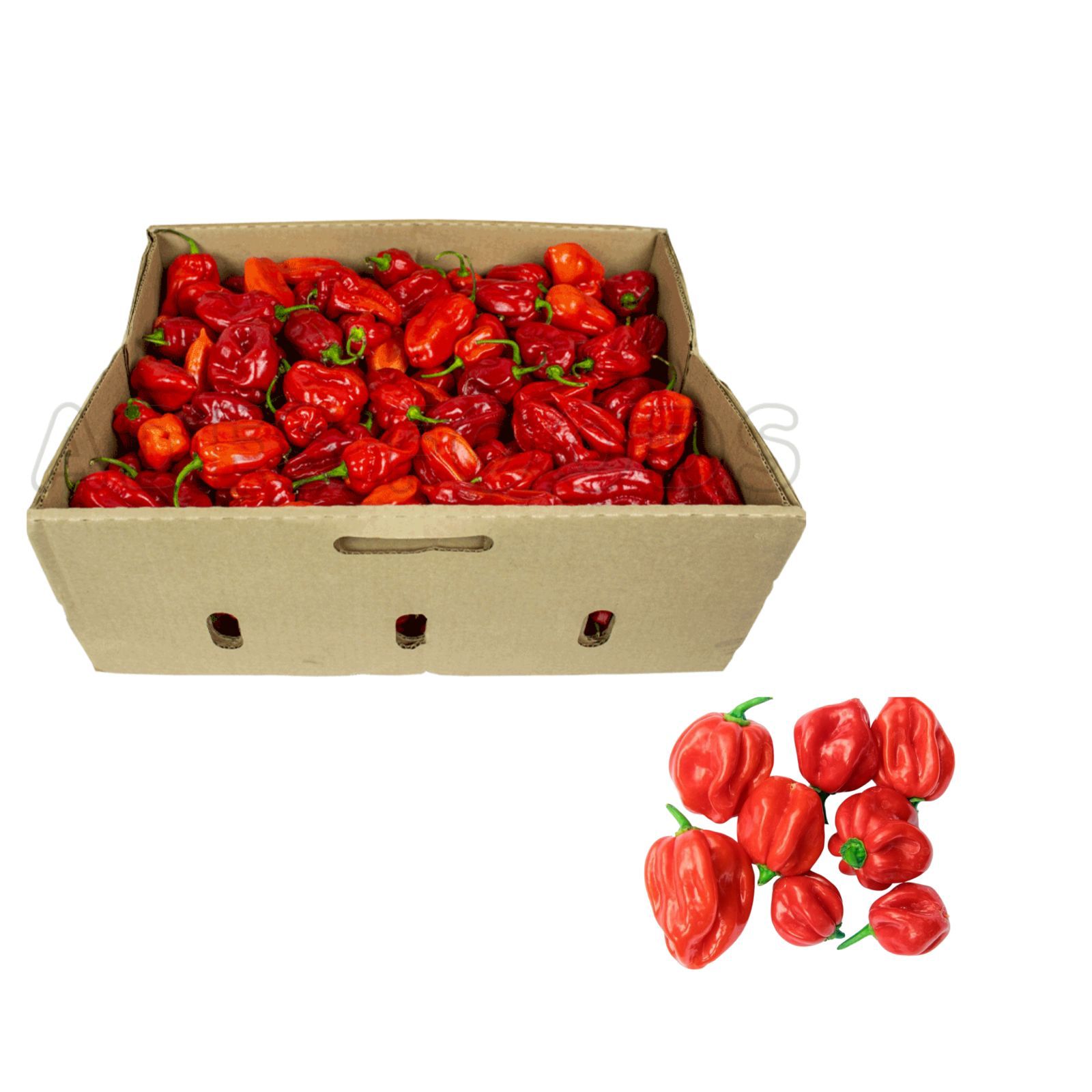 Hot Scotch 3kg