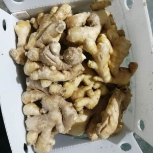 Ginger Big Box Chinese