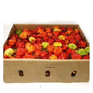 Hot Scotch 4kg