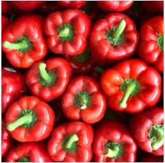 Red Bell Pepper 10kg