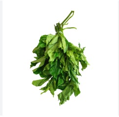 Fresh Ugu Leaves